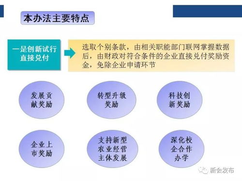 信息量超大，一圖讀懂新會“黃金十條” 解鎖區(qū)域發(fā)展的關(guān)鍵信息咨詢服務(wù)
