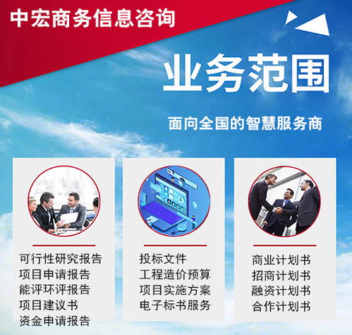 重慶信息咨詢服務(wù)商業(yè)計(jì)劃書代寫策劃案 專業(yè)撰寫指南與核心要點(diǎn)